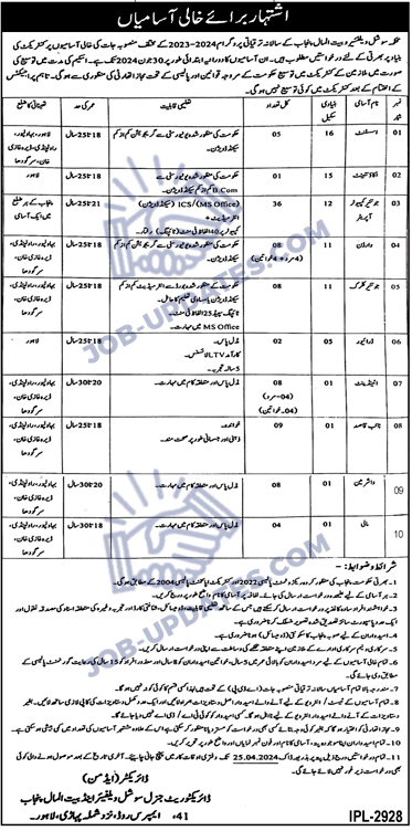 Bait-ul-Maal Department Contractual Jobs 2024